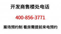 <strong>✅✨✨✨广州城投湾区金融港开辟商售楼</strong>